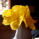 Gonin otoko seizoroi