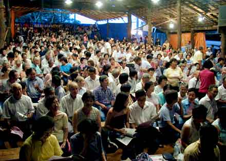 plateia 800 (maximo)