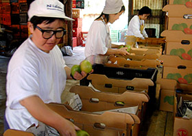 �S���o�o�׍��