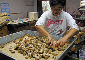 �ő��̐B��